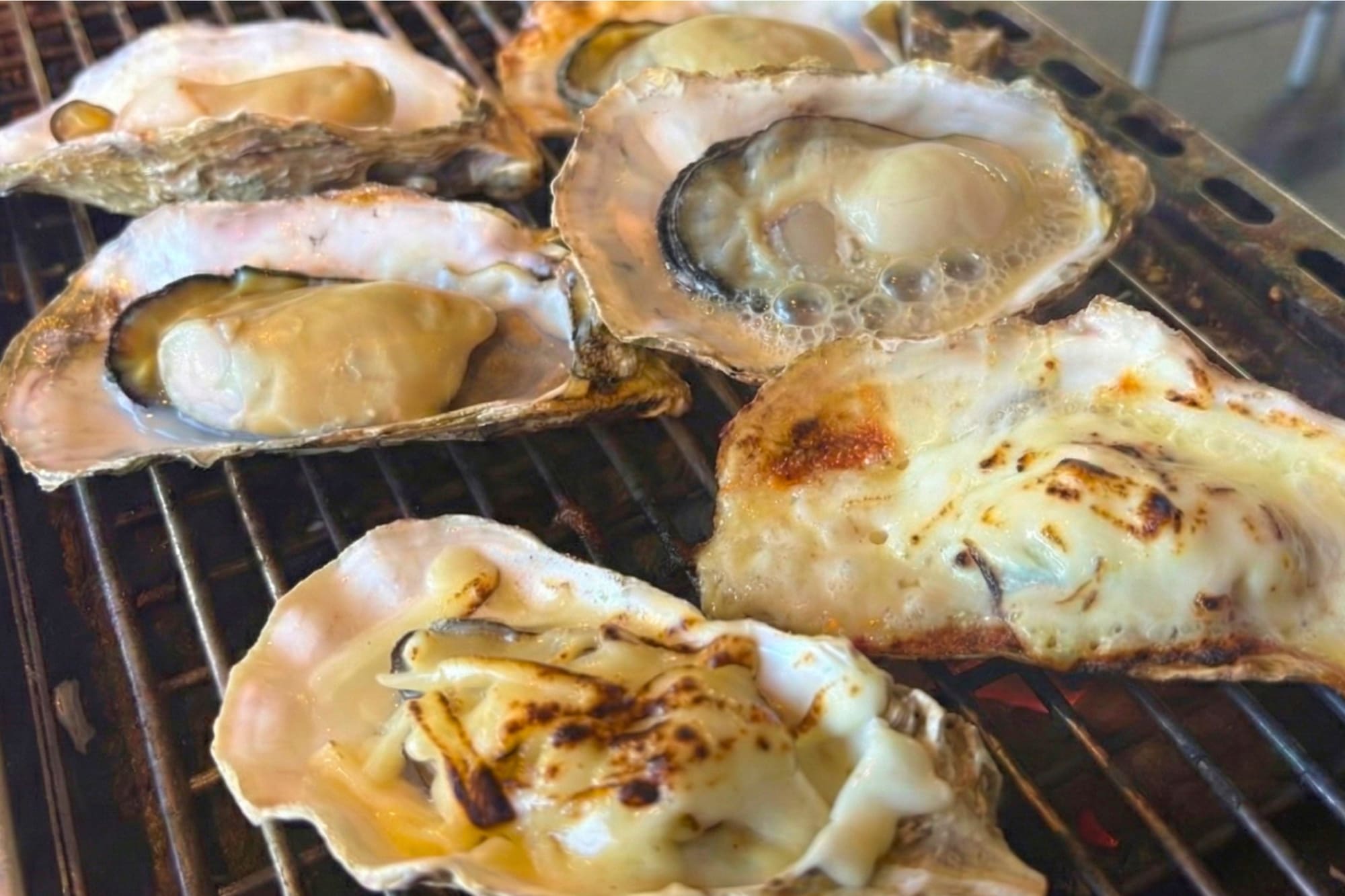 牡蠣と燗酒フェスティバルの焼き牡蠣