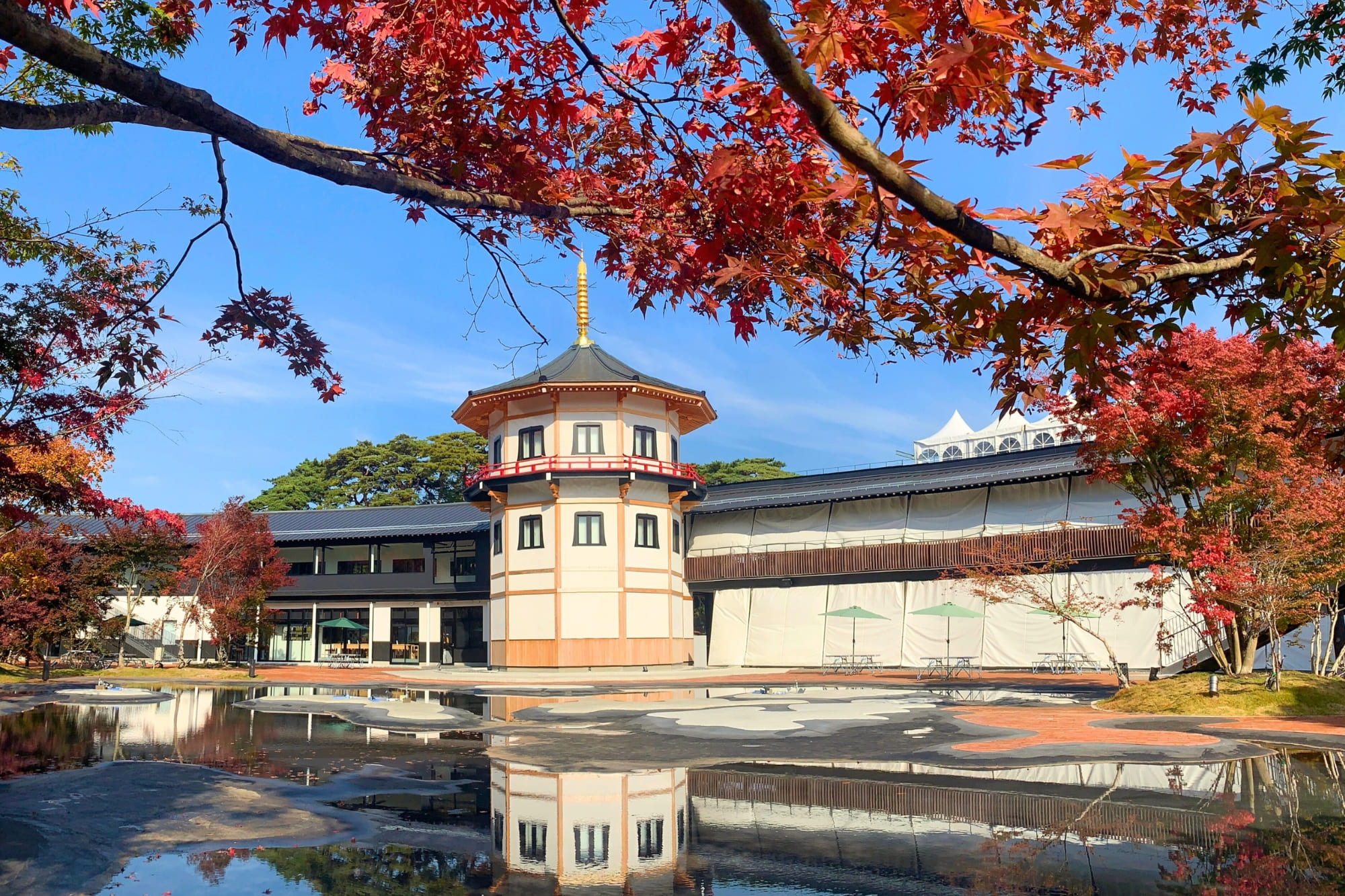 紅葉×日本酒フェスティバルの紅葉風景
